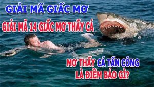 Mơ thấy cá đánh con gì ngon nhất