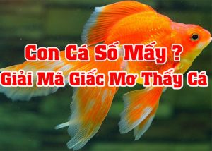 Giải mã hiện tượng bí ẩn này