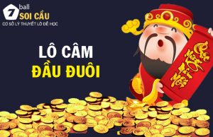 Soi cầu lô câm đầu và đít theo phương pháp hiệu quả nhất